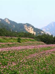 Kunyu Mountain Taibo Peak