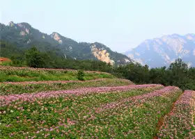 Kunyu Mountain Taibo Peak