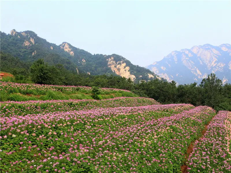 昆嵛山石門裡景區