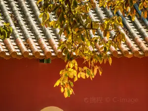 헤이룽탄 공원