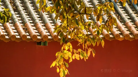 Black Dragon Pool Park attraction in Kunming