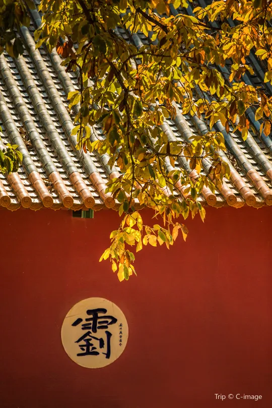 2_Black Dragon Pool Park