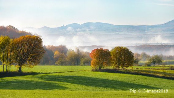 Vallée du Haut-Rhin moyen