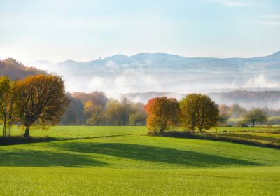 Vallée du Haut-Rhin moyen