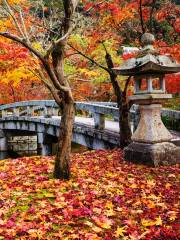 禅林寺 (永観堂)