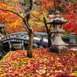 禅林寺 (永観堂)