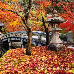 禅林寺 (永観堂)
