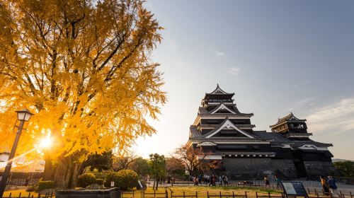 熊本城