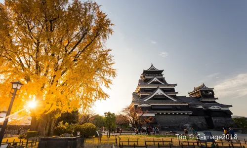 熊本城