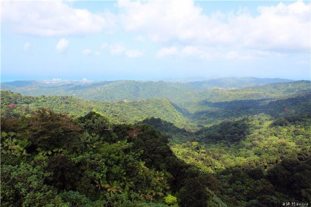 The El Yunque National Forest
