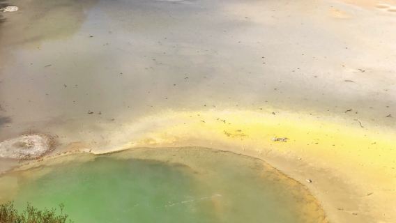 tour di un giorno al parco termale Wai-O-Tapu e alla spa polinesiana di Rotorua da Auckland