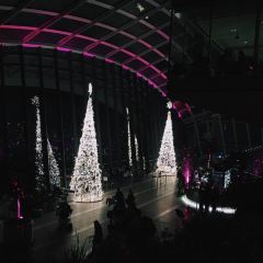 DUCK & WAFFLE LONDON 여행 사진