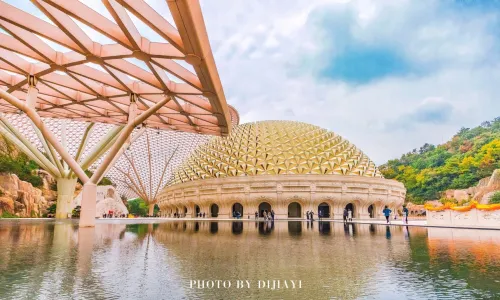 Nanjing Buddhist Culture Experience