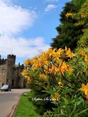 Balloch Castle Country Park