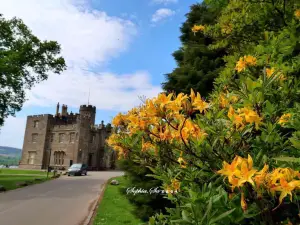 Balloch Castle Country Park