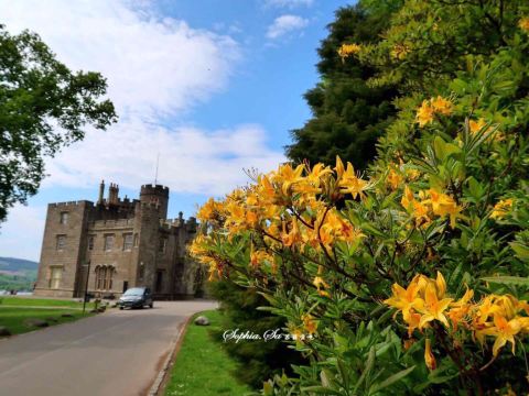 Balloch Castle Country Park