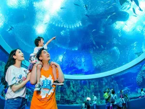Whale & Shark Pavilion