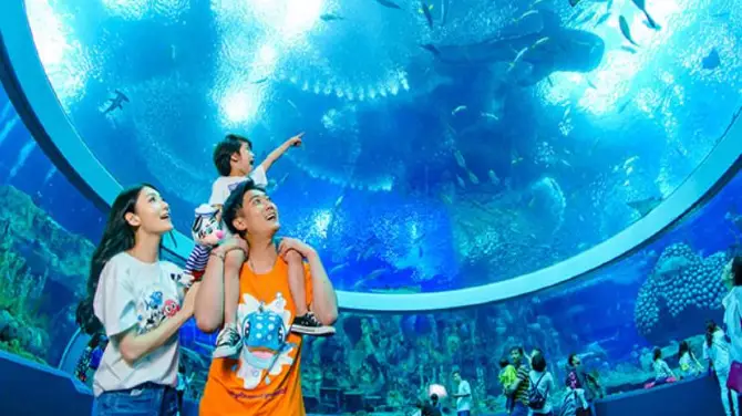 3_พิพิธภัณฑ์ฉลามวาฬ