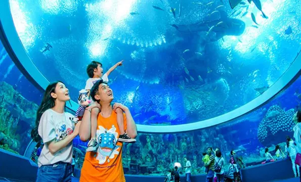 4_珠海長隆海洋王國·鯨鯊館