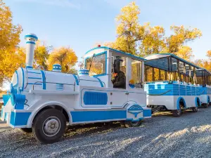Top 10 Best Things to Do in Alxa