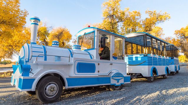 Ejina Populus Euphratica Tourist Area