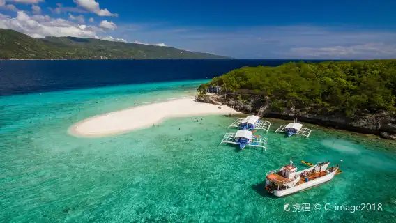 From Cebu: Oslob Whale Shark Watching + Sumilon Island Snorkeling one-day tour | Round-trip transfer