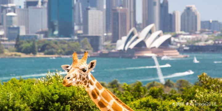 Taronga Zoo Sydney