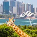 Taronga Zoo Sydney
