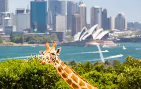 Taronga Zoo Sydney