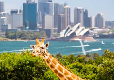 Taronga Zoo