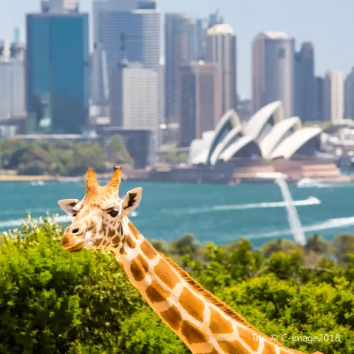 Taronga Zoo Sydney