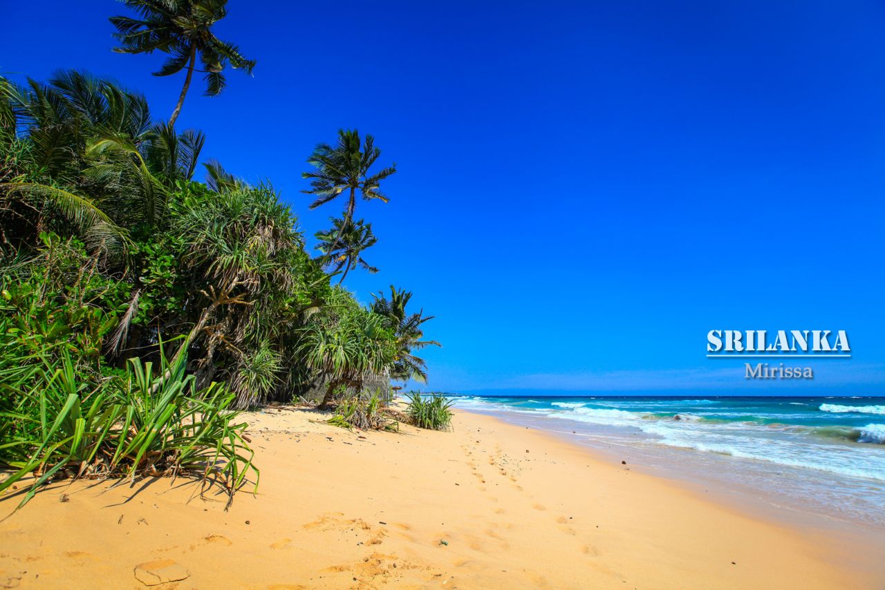 2025 Mirissa Travel Guide: Must-see attractions, popular food, hotels, transportation routes (updated in June)