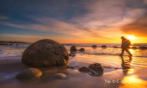 Moeraki Boulders Beach