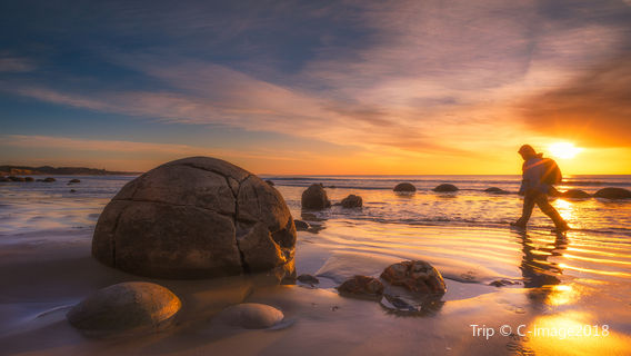 Moeraki Boulders Beach