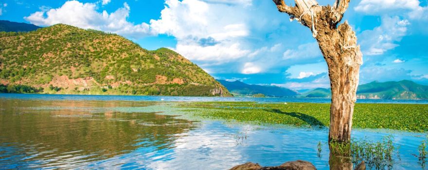 Полуостров озера Лугуху Лигэ