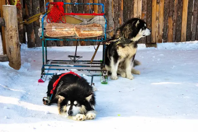 Snow Sledding in Hailin