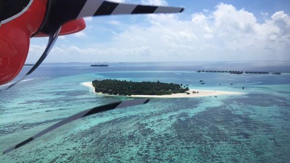Maldive