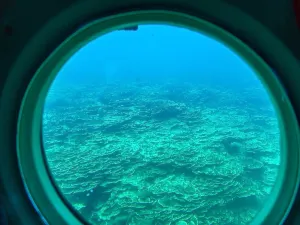 Scuba Diving in Guam