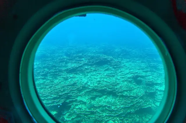 Scuba Diving in Guam