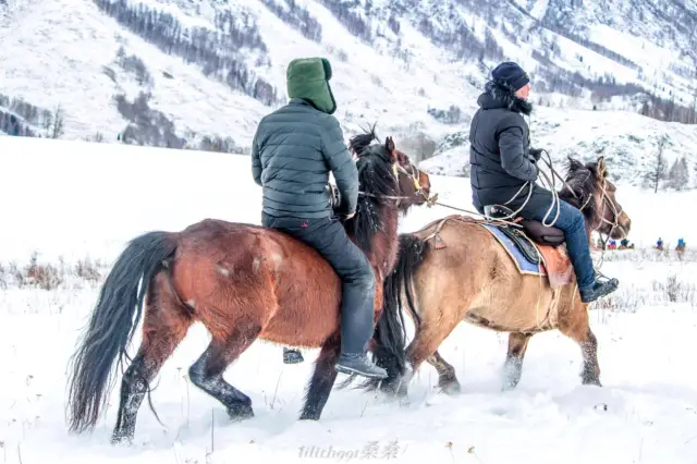 Horse Riding in Burqin