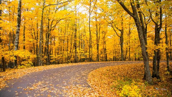 Porcupine Mountains Wilderness State Park