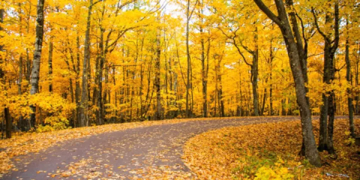 豪豬山自然州立公園