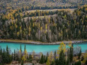 Popular Fall Viewing Attractions in Burqin