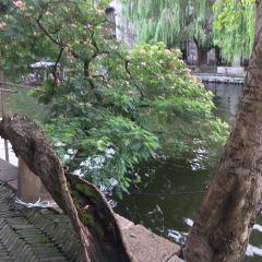 小小飯館（南潯古鎮景區店）張用戶圖片