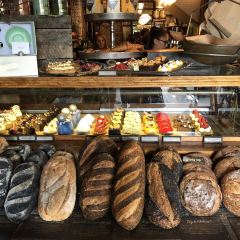 The Grounds of Alexandria User Photo