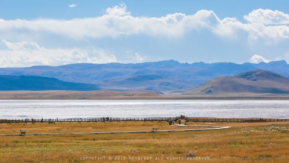 Qinghai Delingha Gahai National Wetland Park