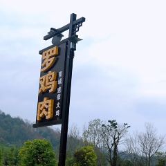 罗鸡肉·青城道柴火鸡(青城山店) User Photo