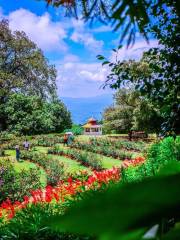 Ботанический сад Хакгала