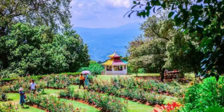 Hakgala皇家植物园