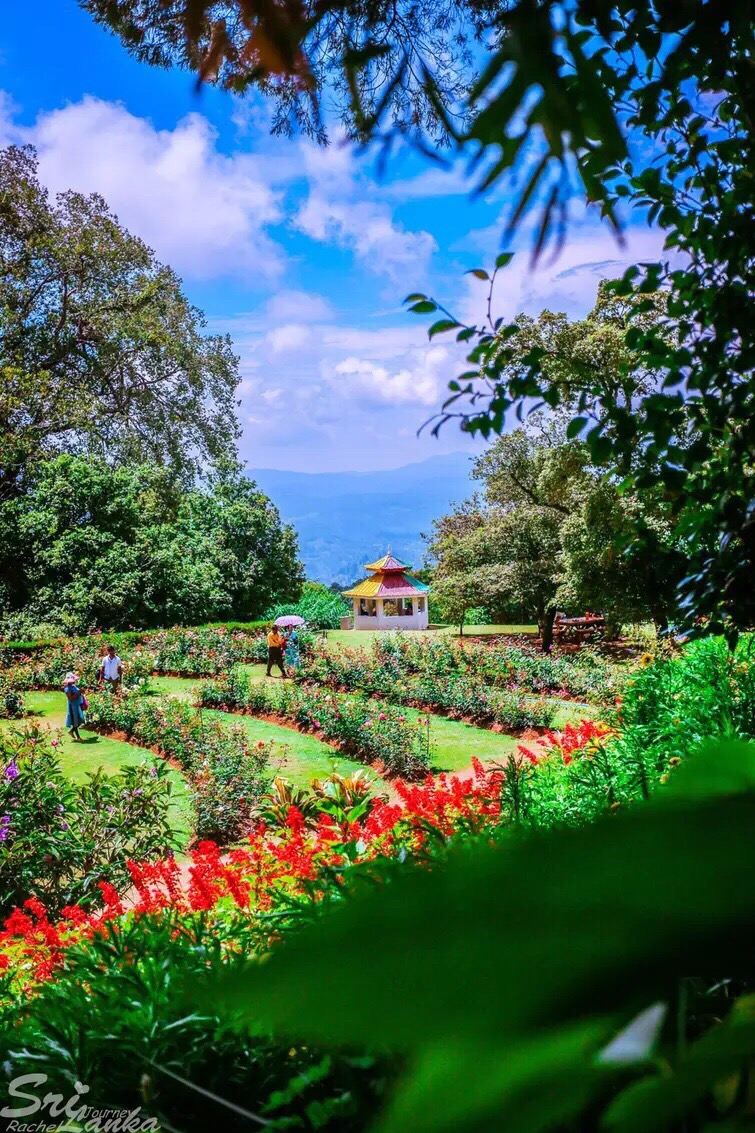 Hakgala Botanical Garden